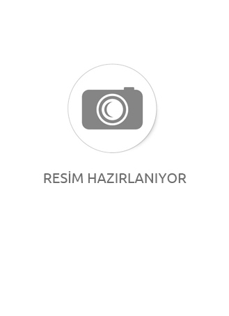 POŞETTE 6 LI DİNAZORLAR